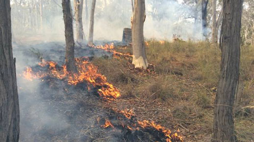 Prescribed burn on Black Mountain.jpg